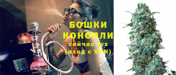 прущие грибы Баксан