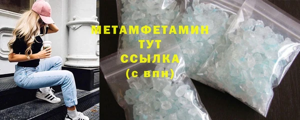 прущие грибы Баксан