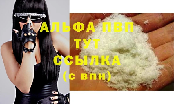 прущие грибы Баксан
