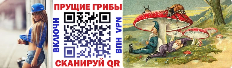 Галлюциногенные грибы Psilocybine cubensis  Вятские Поляны 