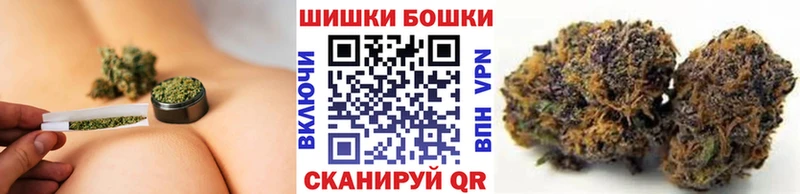 площадка официальный сайт  Вятские Поляны  Канабис сатива 